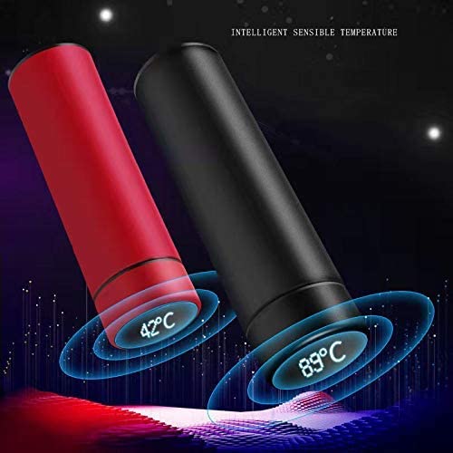 500ml Stainless Steel Smart Water Bottle – Vacuum Flask with LED Temperature Display (Black, Assorted Colors)